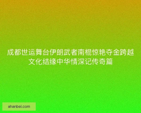 成都世运舞台伊朗武者南棍惊艳夺金跨越文化结缘中华情深记传奇篇