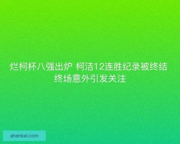 烂柯杯八强出炉 柯洁12连胜纪录被终结 终场意外引发关注